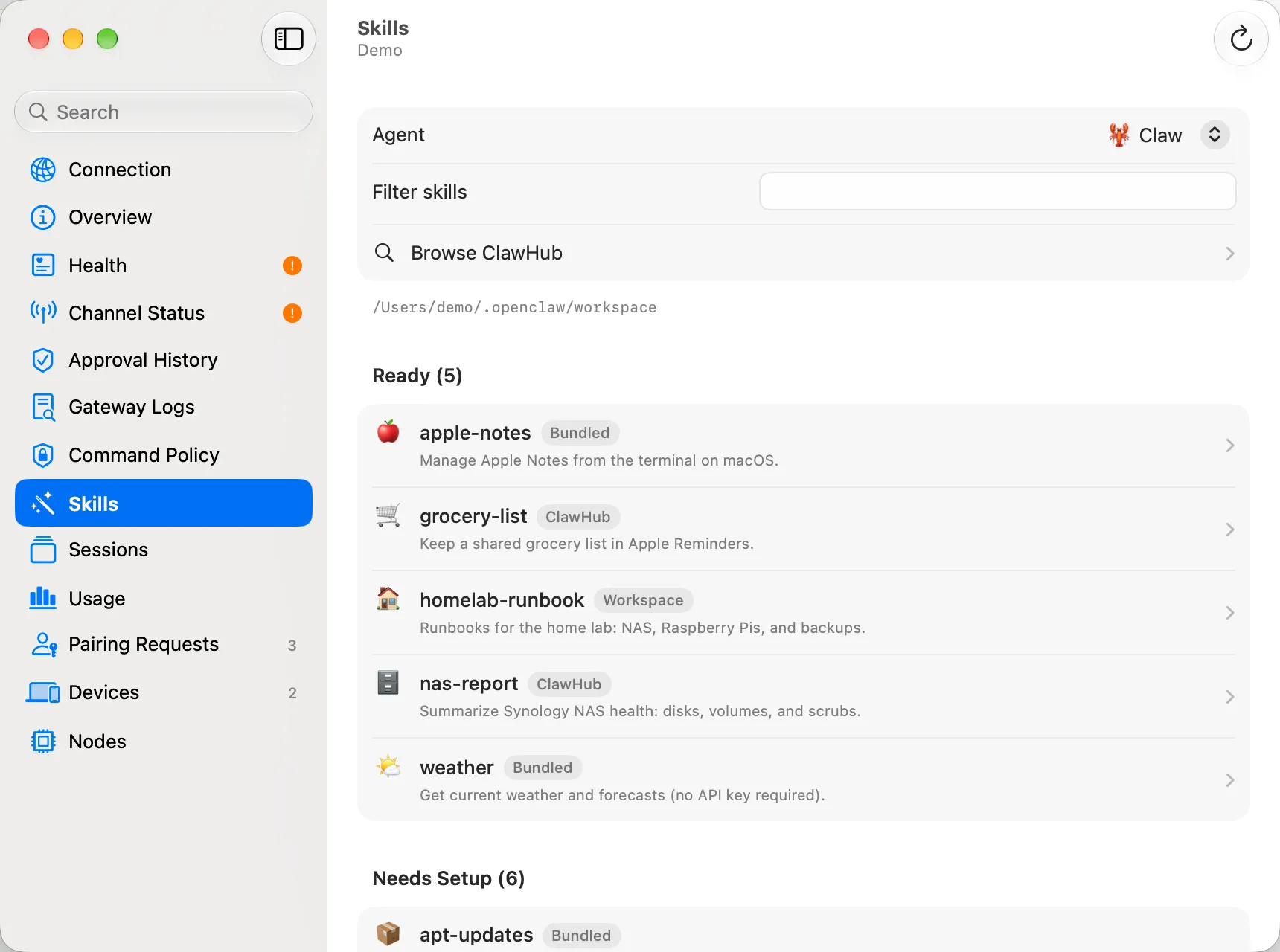 Skills page listing ready skills with source, requirements and enabled status.